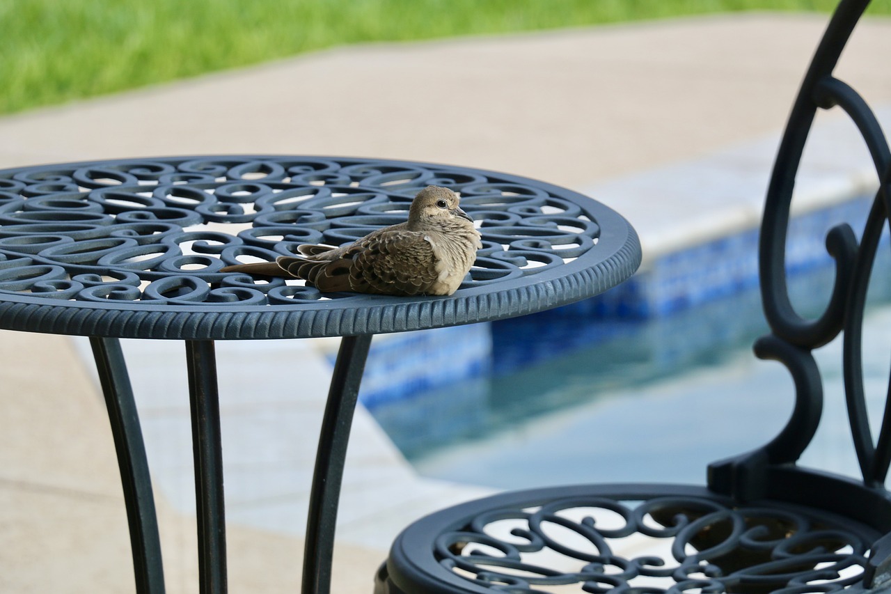 outdoor-garden-iron-metal-furniture-repair-service